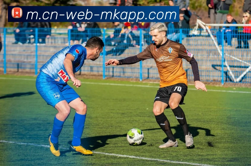 MK体育服务体系