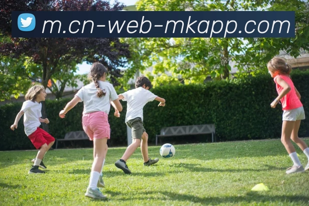 App 示例图